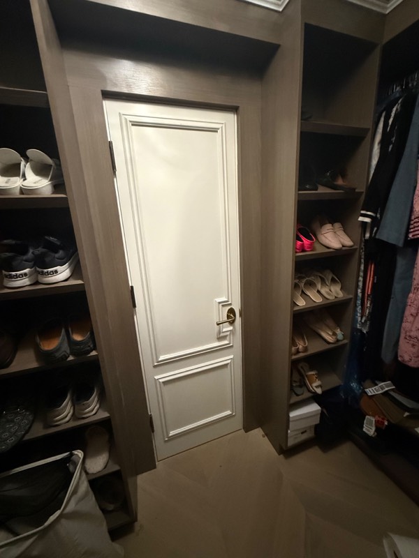 Paneled closet door before the mirror inserts